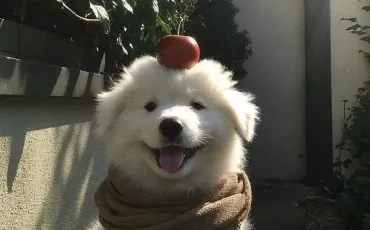 Quiz Test de personnalit�