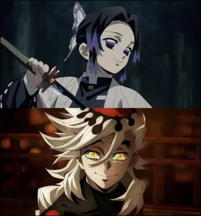 Quel est le souffle de Shinobu ?