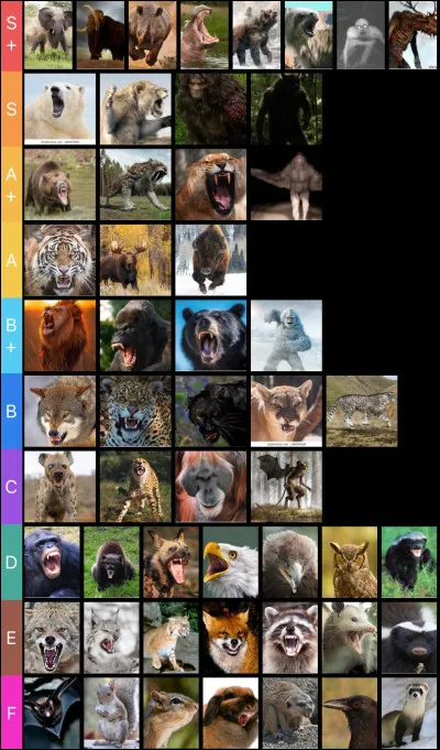 Quel animal te correspond le plus ?