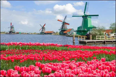 Quel pays europ&eacute;en est surnomm&eacute; le "pays des tulipes" ?
