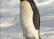 Quiz A ne pas confondre