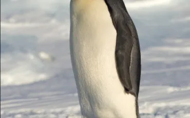 Quiz Culture g�n�rale