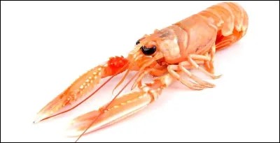 Quel est ce crustac&eacute;, proche de la crevette et dot&eacute; de pinces ?