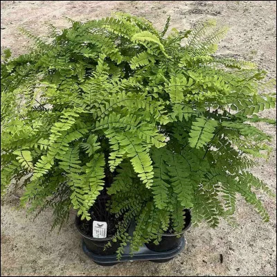 Si tu pouvais dire une phrase au monde dans 20 ans quelle serait cette phrase ?