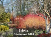 Quiz Au jardin d'hiver