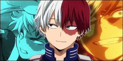 My Hero Academia : Les pouvoirs de Shoto sont le feu et l'eau.