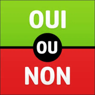 Les humains ont-ils un seul estomac ?