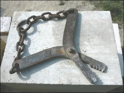 Quel animal est de Calabre pour Alberto Lattuada, dans son film de 1953 ?