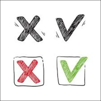 Les dauphins dorment-ils en gardant les deux h&eacute;misph&egrave;res du cerveau actifs ?