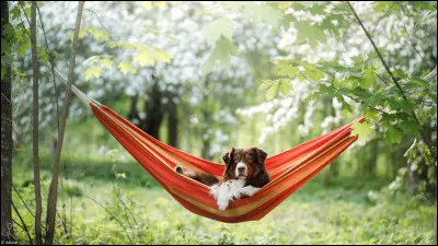 En vacances, tu pr&eacute;f&egrave;res aller :