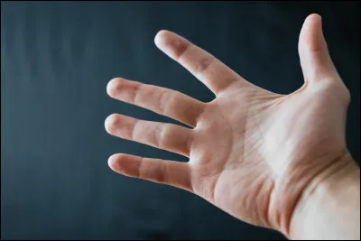 Et enfin, quel est ton doigt pr&eacute;f&eacute;r&eacute; ?