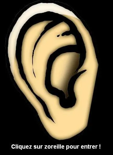 Un ' Z'oreilles ' est :