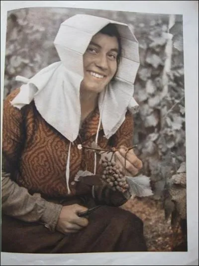 La quichenotte est une coiffe que l'on retrouve aussi  St Bart ; elle signifie :