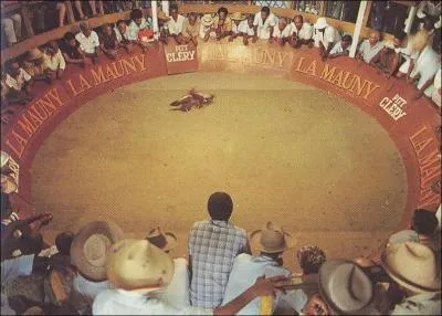 Dans ce ' Pitt ' se droulent ... .