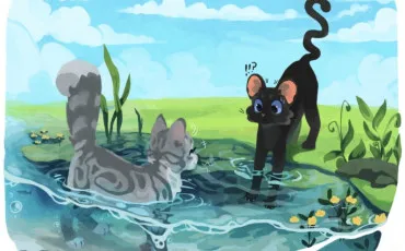 Quiz Litt�rature, po�sie