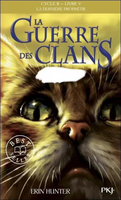 Quel est le titre de ce tome ?