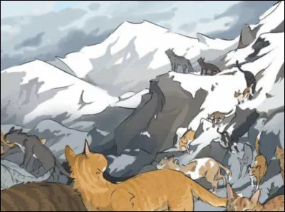 Quel est le nom du cycle 2 ?