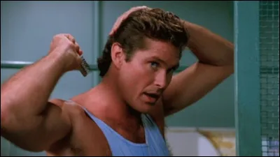 Quel personnage a &eacute;t&eacute; interpr&eacute;t&eacute; par David Hasselhoff ?