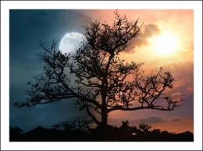 Quel astre est parfois appel&eacute; "astre de la nuit" ?