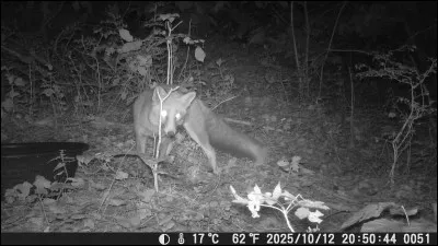 Trouvez le nom d'un jeu de soci&eacute;t&eacute; pour les tout petits !