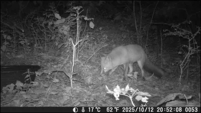 Trouvez le nom d'une fable de La Fontaine !