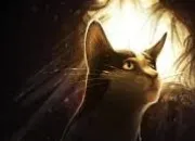 Quiz Reconnais le chat de LGDC sur l�image (5)