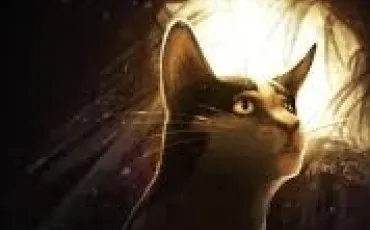 Quiz Litt�rature, po�sie