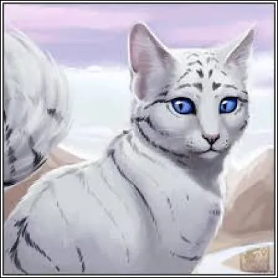 Derni&egrave;re question : qui est-ce ?