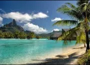 Quiz Culture g�n�rale pour enfants surdou�s !