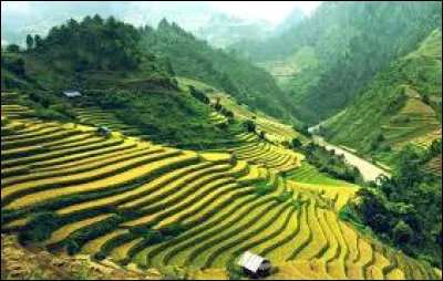 Quel &eacute;crivain a cr&eacute;&eacute; le personnage de Sherlock Holmes ?