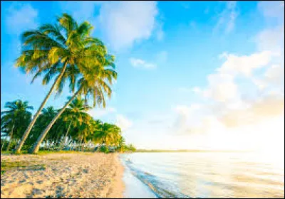 Quel scientifique a d&eacute;couvert la loi de la gravitation ?