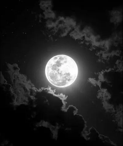 Quelle princesse se d&eacute;guise en gar&ccedil;on pour sauver sa famille ?