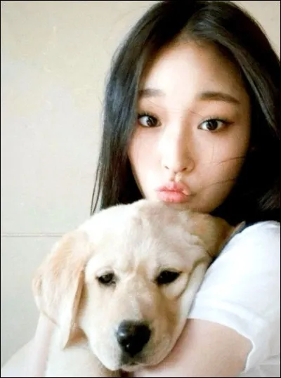 Quel animal aimerais‑tu avoir comme animal de compagnie ?