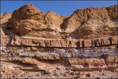 Quels types de roches peuvent se former &agrave; partir de s&eacute;diments ?