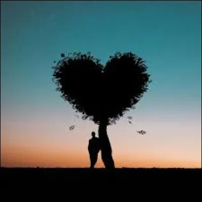 Quel organe est traditionnellement associ&eacute; &agrave; l'amour dans les repr&eacute;sentations symboliques ?