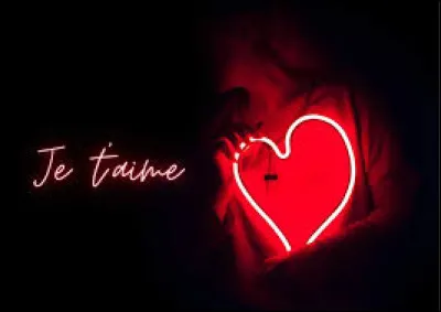 Quel roman raconte l'histoire d'amour entre Elizabeth Bennet et Mr Darcy ?