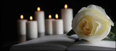 Quel guitariste l&eacute;gendaire de soul et de rock, membre de Booker T. and the M.G.'s, est mort en 2025 ?