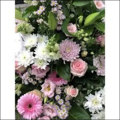 Quelle ic&ocirc;ne fran&ccedil;aise du cin&eacute;ma et de la chanson, &eacute;galement connue pour certaines de ses opinions condamnables, est d&eacute;c&eacute;d&eacute;e en d&eacute;cembre 2025 ?