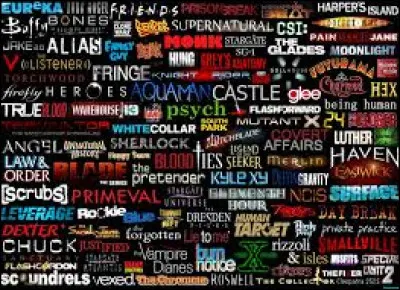 Dans quelle sp&eacute;cialit&eacute; le docteur Shaun Murphy est-il devenu un expert dans "Good Doctor" ?