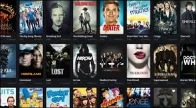 Qui interpr&egrave;te le h&eacute;ros principal de "Indiana Jones et les Aventuriers de l'Arche perdue" ?