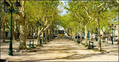 Place embl&eacute;matique de Saint-Tropez, quel est son nom ?