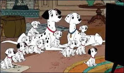 Quel oiseau bleu est l'ami de Jafar dans "Aladdin" ?