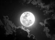 Quiz Sauras-tu r�pondre � tout ?