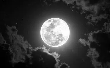 Quiz Culture g�n�rale