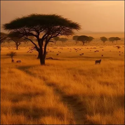 Quel animal est le roi de la savane ?