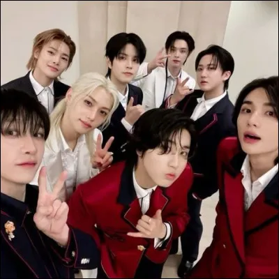 Quel est le fandom officiel de Stray Kids ?