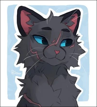 Salut !Quelle est ta couleur pr&eacute;f&eacute;r&eacute;e ? 1/2