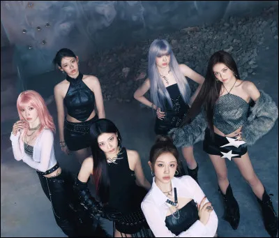 Quel c&eacute;l&egrave;bre groupe f&eacute;minin est souvent cit&eacute; comme leur �grandes s�urs� ?