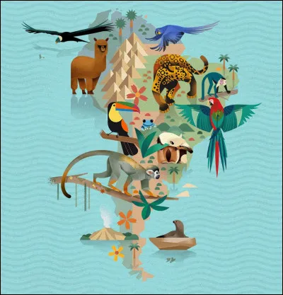 Que ne d&eacute;signe pas l'Amazonas ?