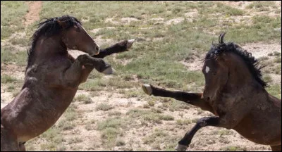 Serais-tu pr&ecirc;t &agrave; te d&eacute;fendre en cas de besoin ?
